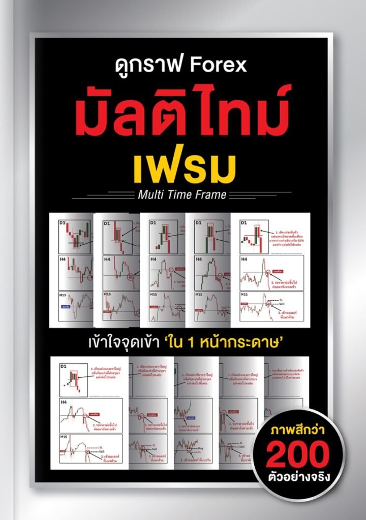 แบนเนอร์ 7