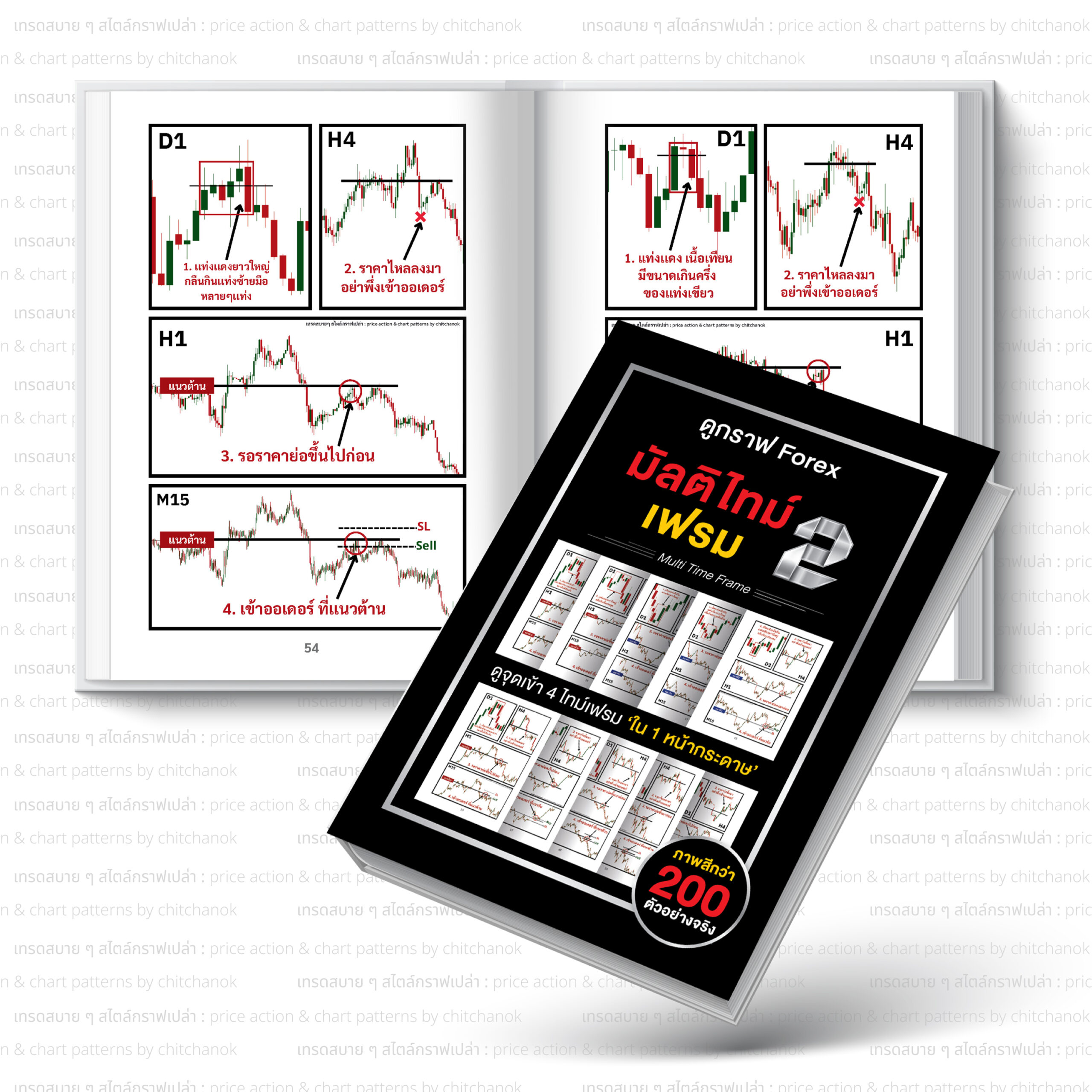 แบนเนอร์มัลติไทม์2-2 หนังสือ ดูกราฟ Forex มัลติไทม์เฟรม ( เล่ม 2 ) - Image 5